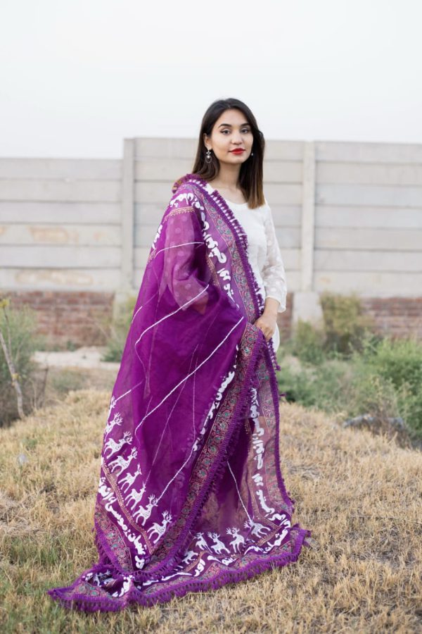 Dastaan Dupatta