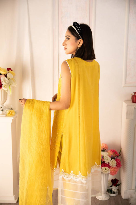Organza Dupatta