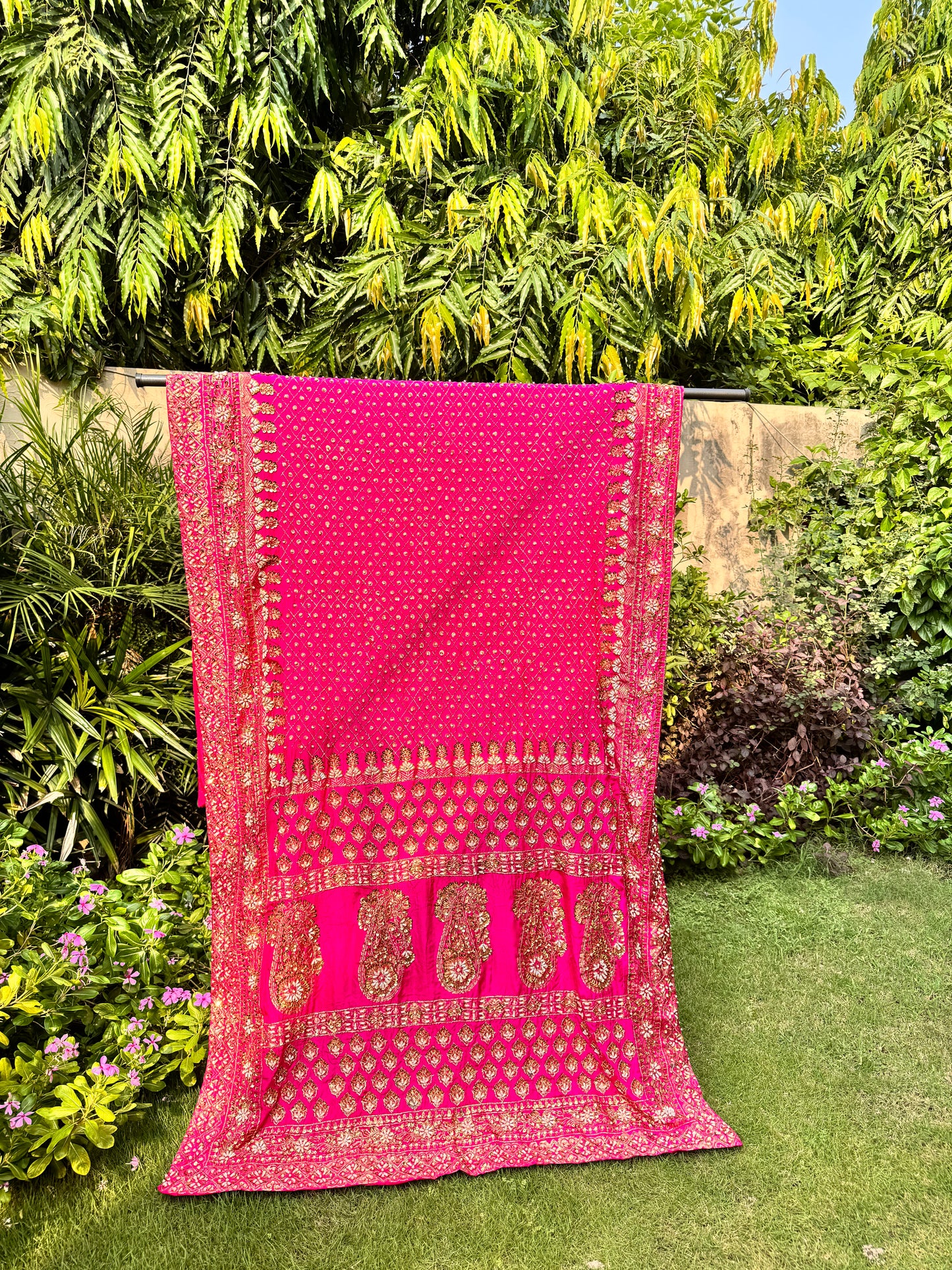 Magenta Kaamdani