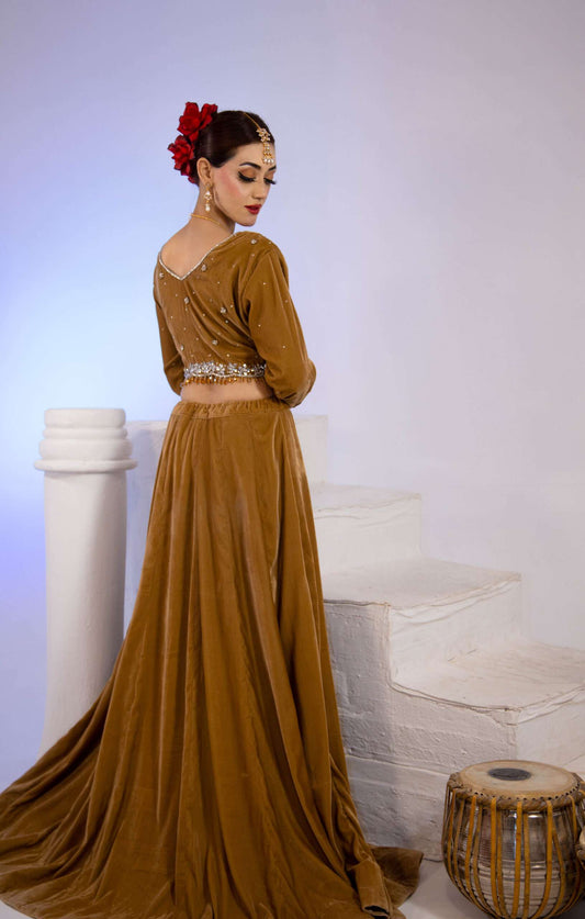 Velvet Lehnga Set