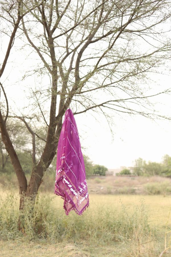 Dastaan Dupatta